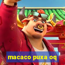 macaco puxa oq